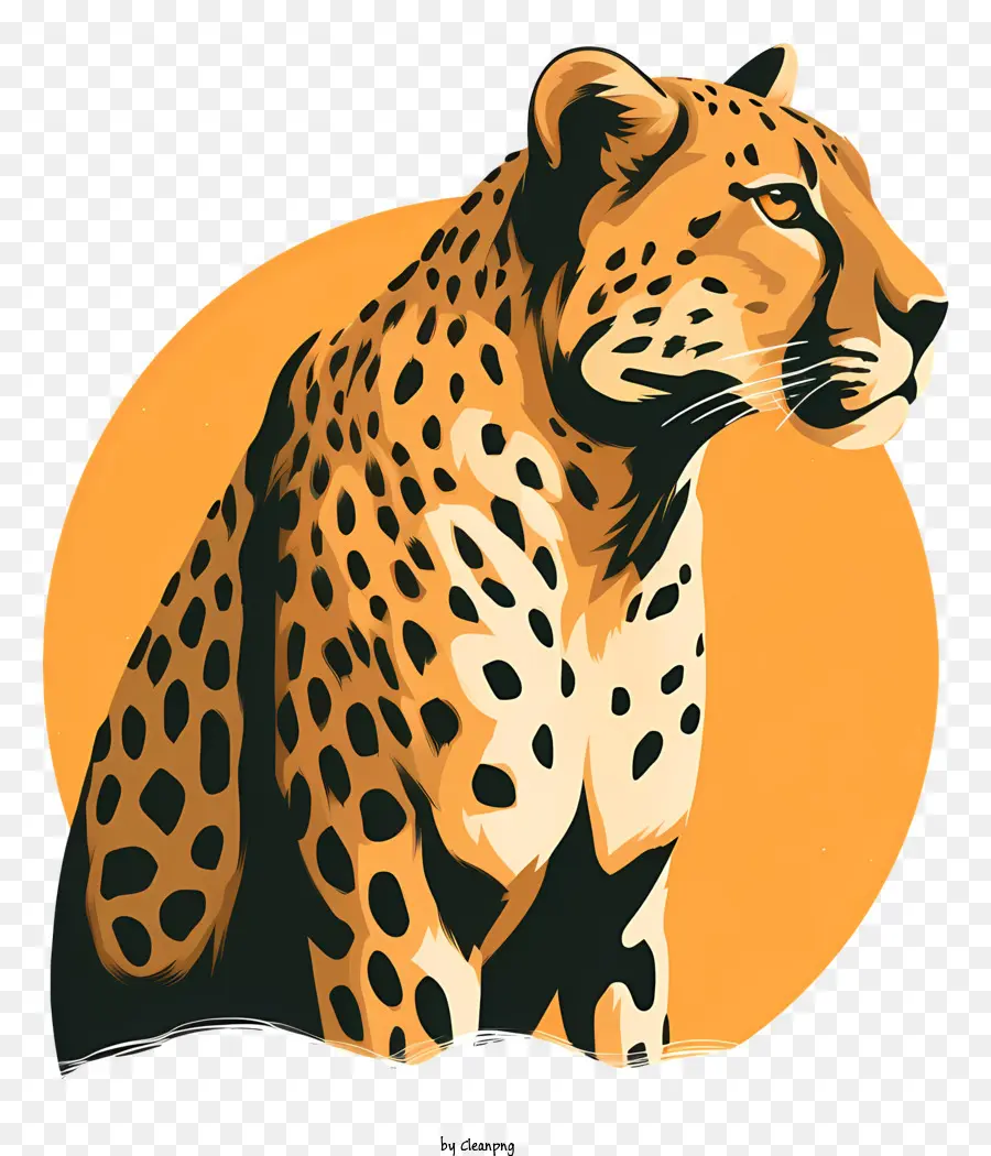 Leopard，Sol PNG