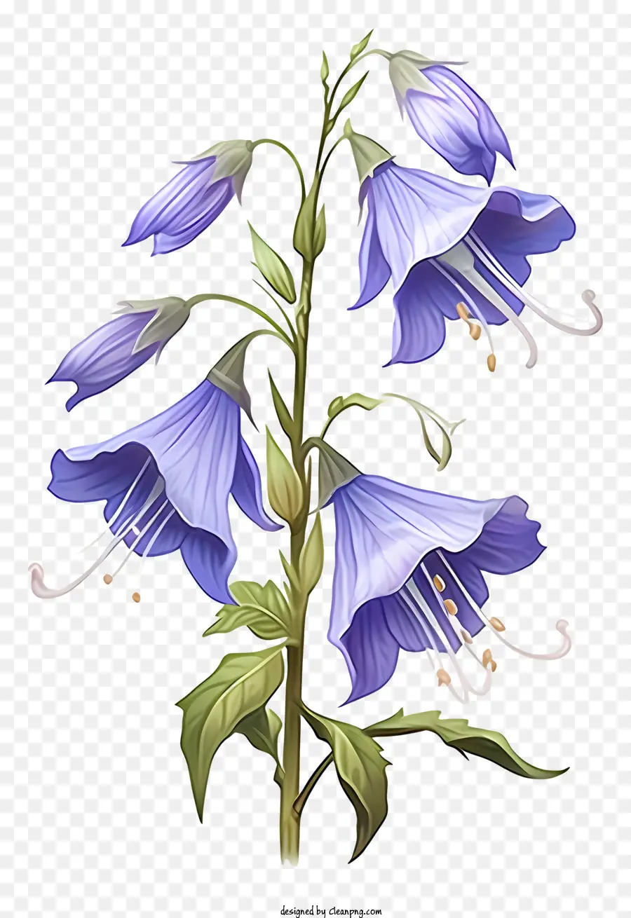Flor Azul，Folhas Longas PNG