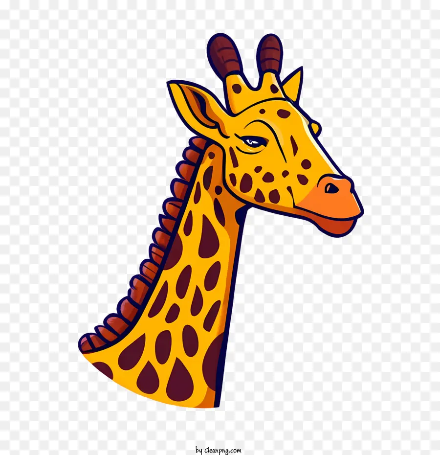 Cartoon Girafa，Girafa PNG