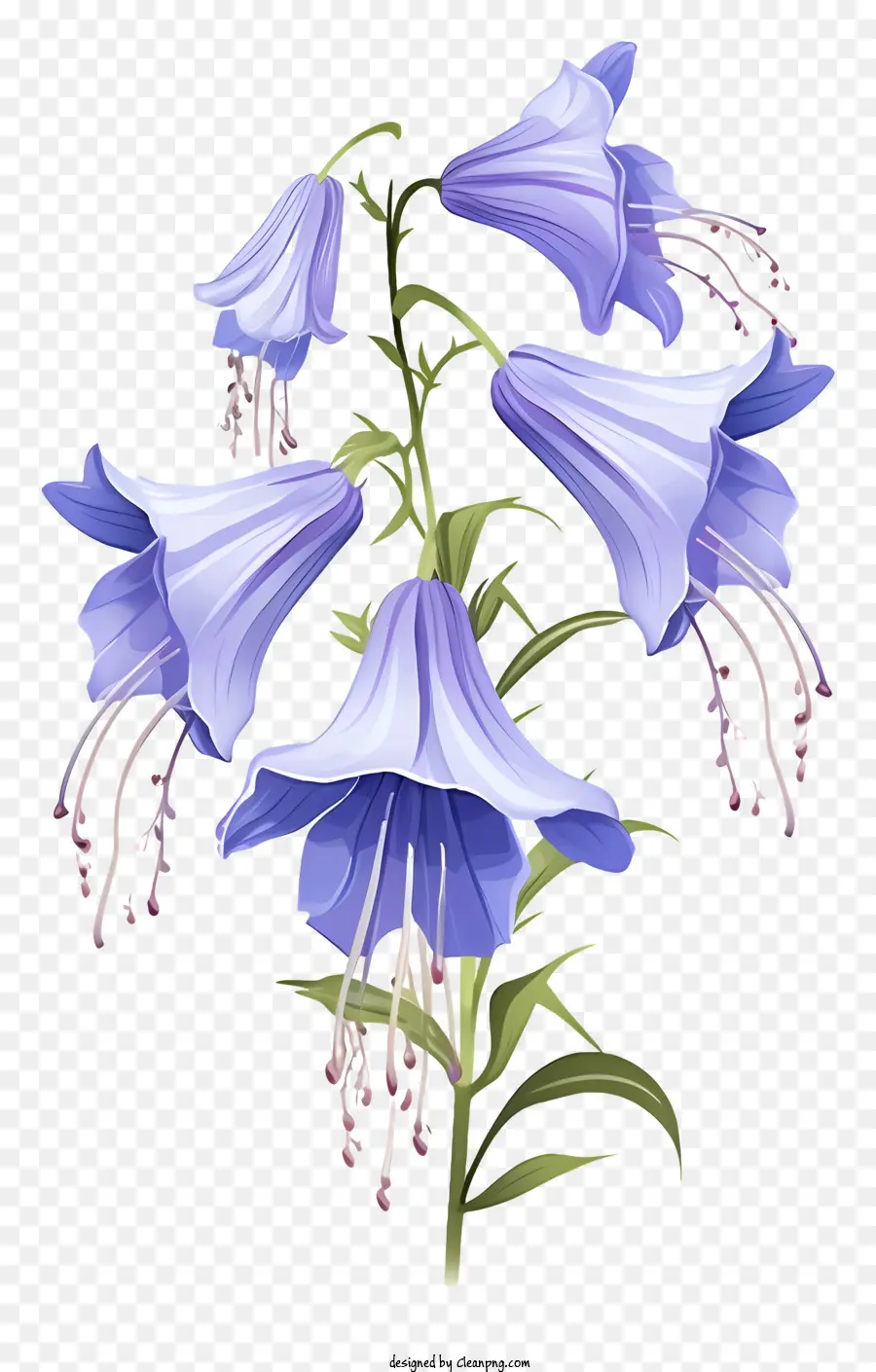 Flores Azuis，Hastes Longas PNG