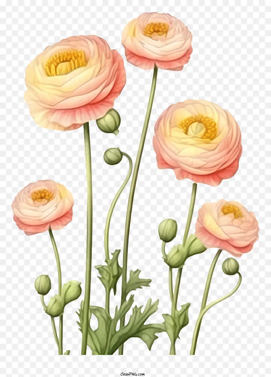 Buquê，Flores Cor De Rosa PNG