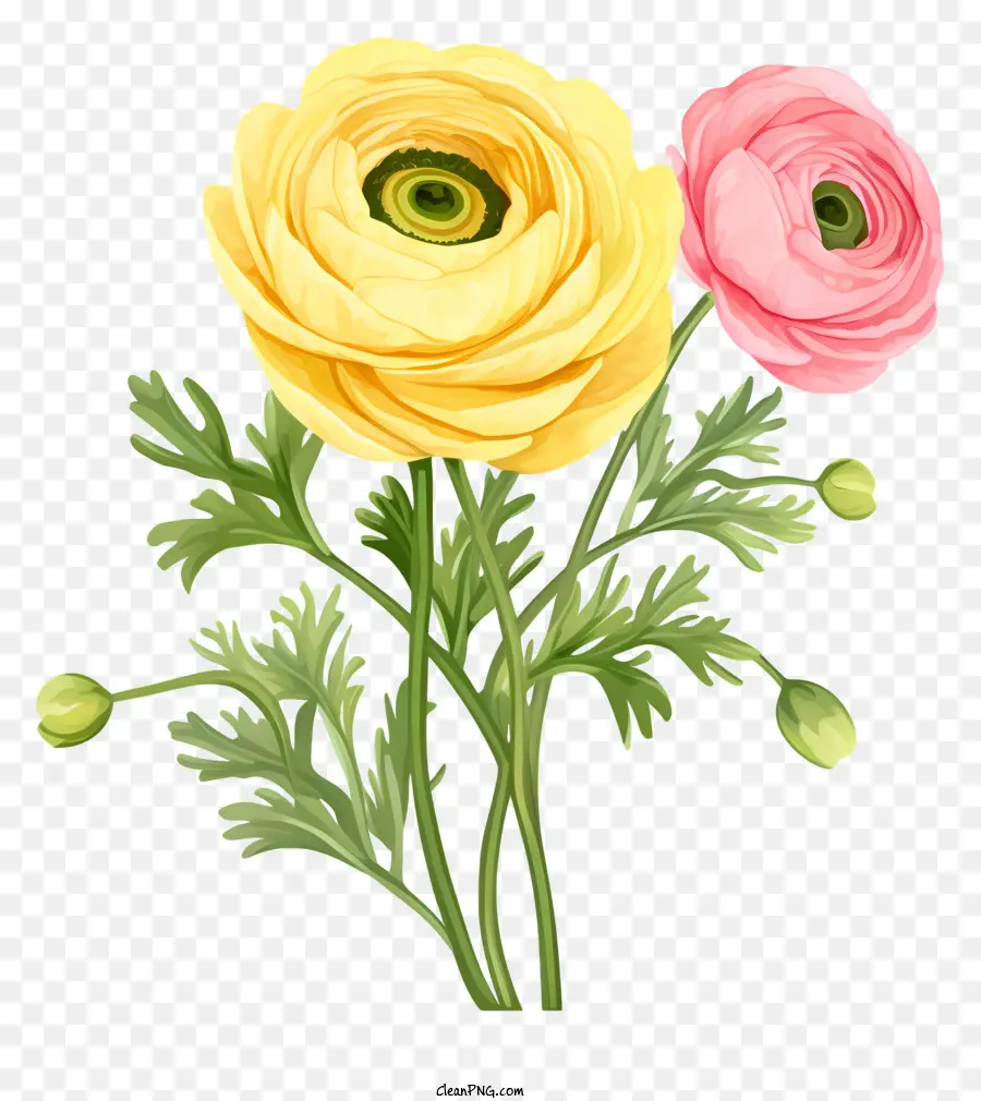 Flores，Flores Rosa E Amarelo PNG