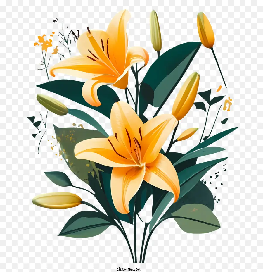Flores De Lírio，Lily PNG