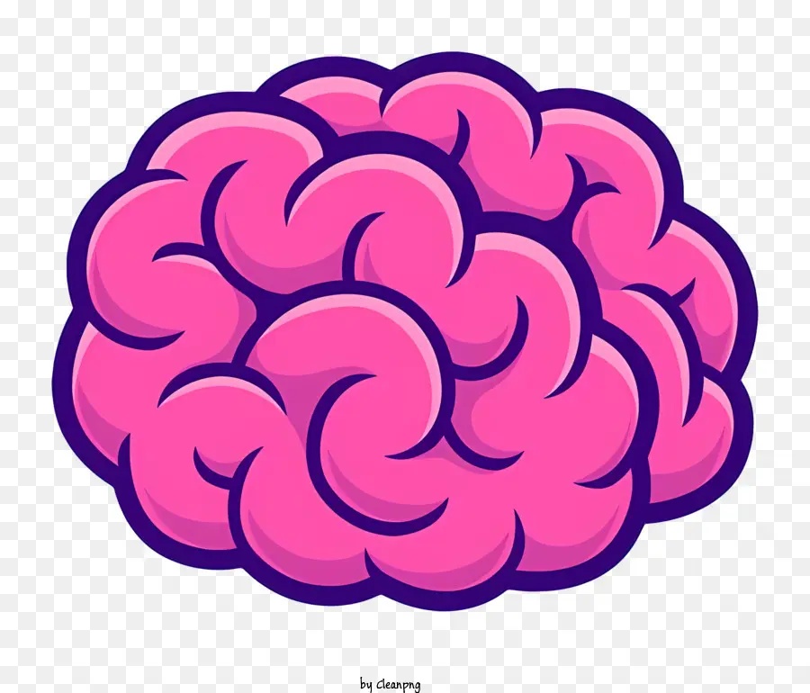 Anatomia Do Cérebro，A Função Do Cérebro PNG