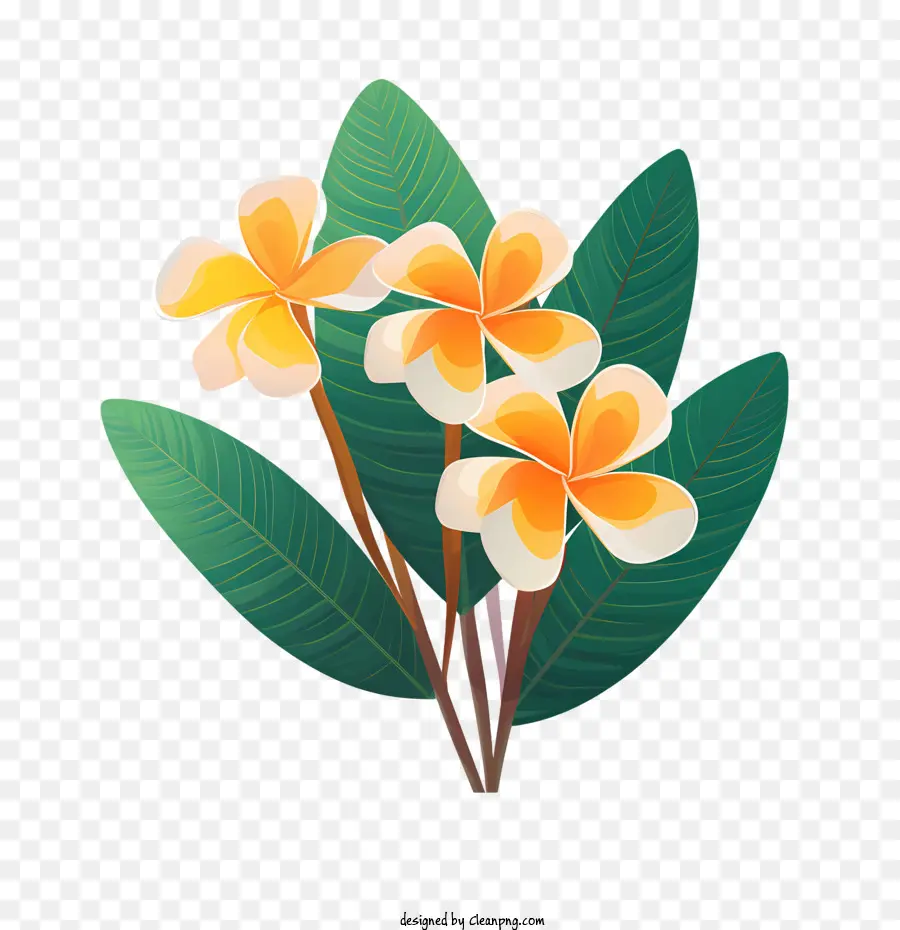 Flor De Frangipani，Flores Amarelas PNG