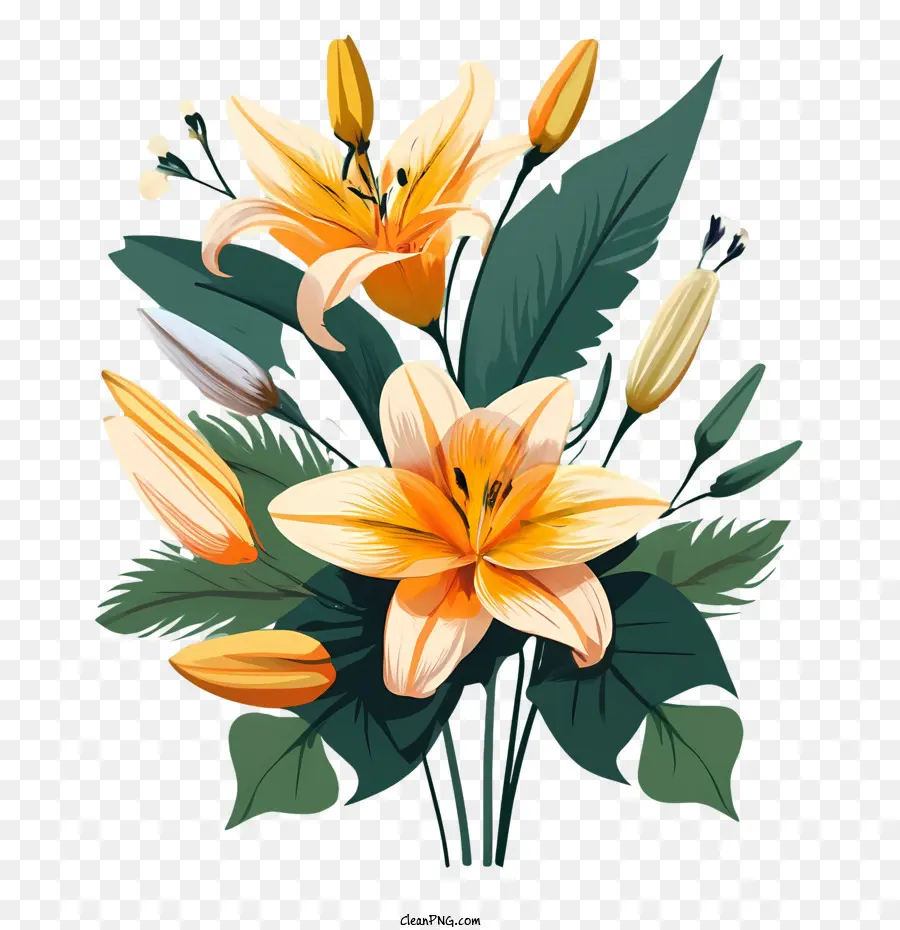Flores De Lírio，Lily PNG