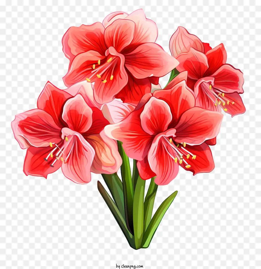 Amaryllis Flor，Vermelho PNG