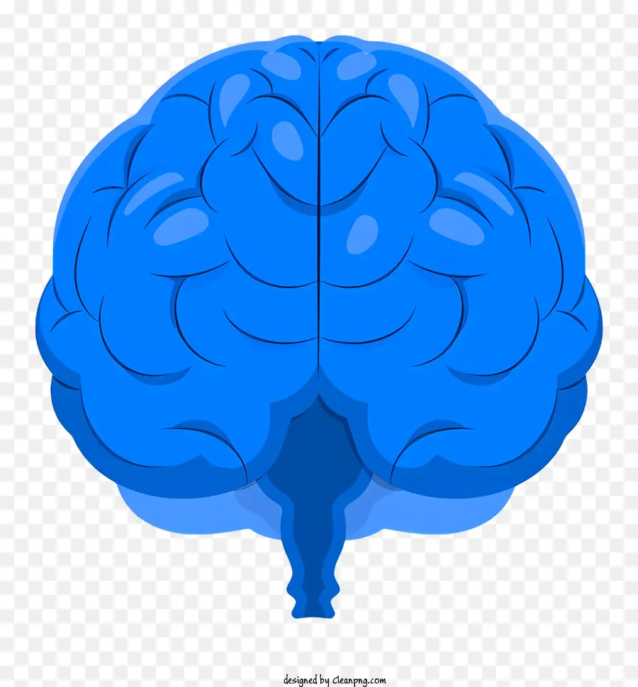 Cérebro Humano，Azul Cérebro PNG