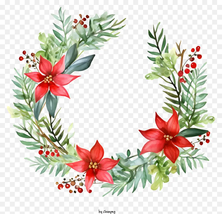 A Grinalda，Red Poinsettias PNG
