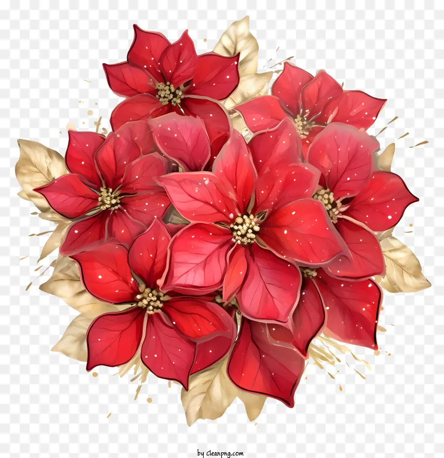Bicos De Flor，Red Poinsettia PNG