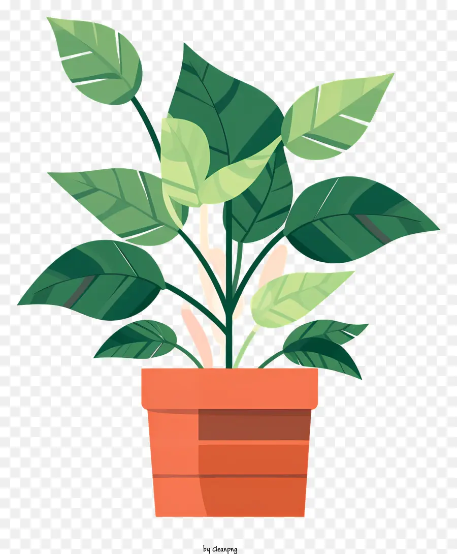 Planta De Vaso，Folhas Verdes PNG