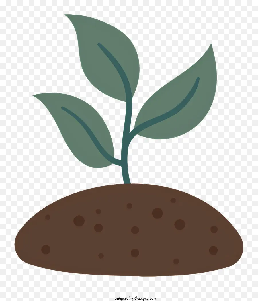 O Crescimento Da Planta，Planta De Brotação PNG