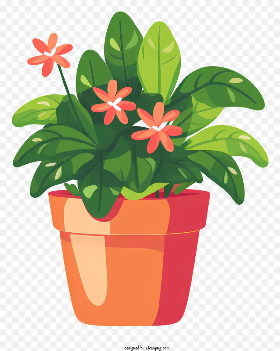 Planta De Vaso，Flores Vermelhas PNG