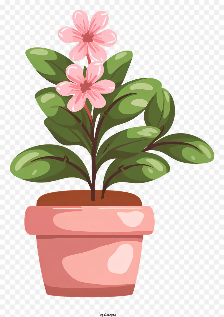 Planta De Vaso，Flores Cor De Rosa PNG