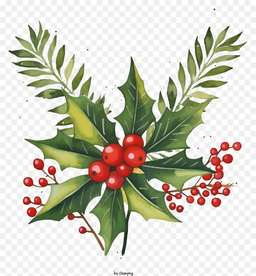 Decoração De Natal，Frutos Vermelhos PNG