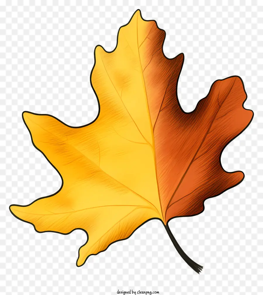 Outono Maple Leaf，Folha Seca PNG