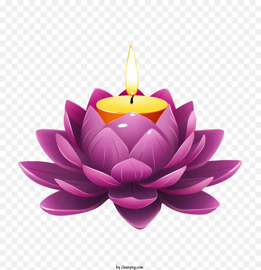 Flor De Lótus De Vela，Lotus PNG