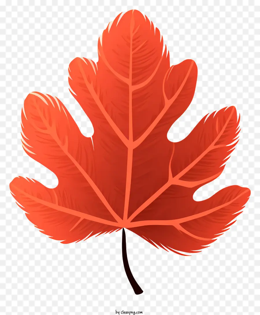 Red Maple Leaf，árvores Caducifólias PNG