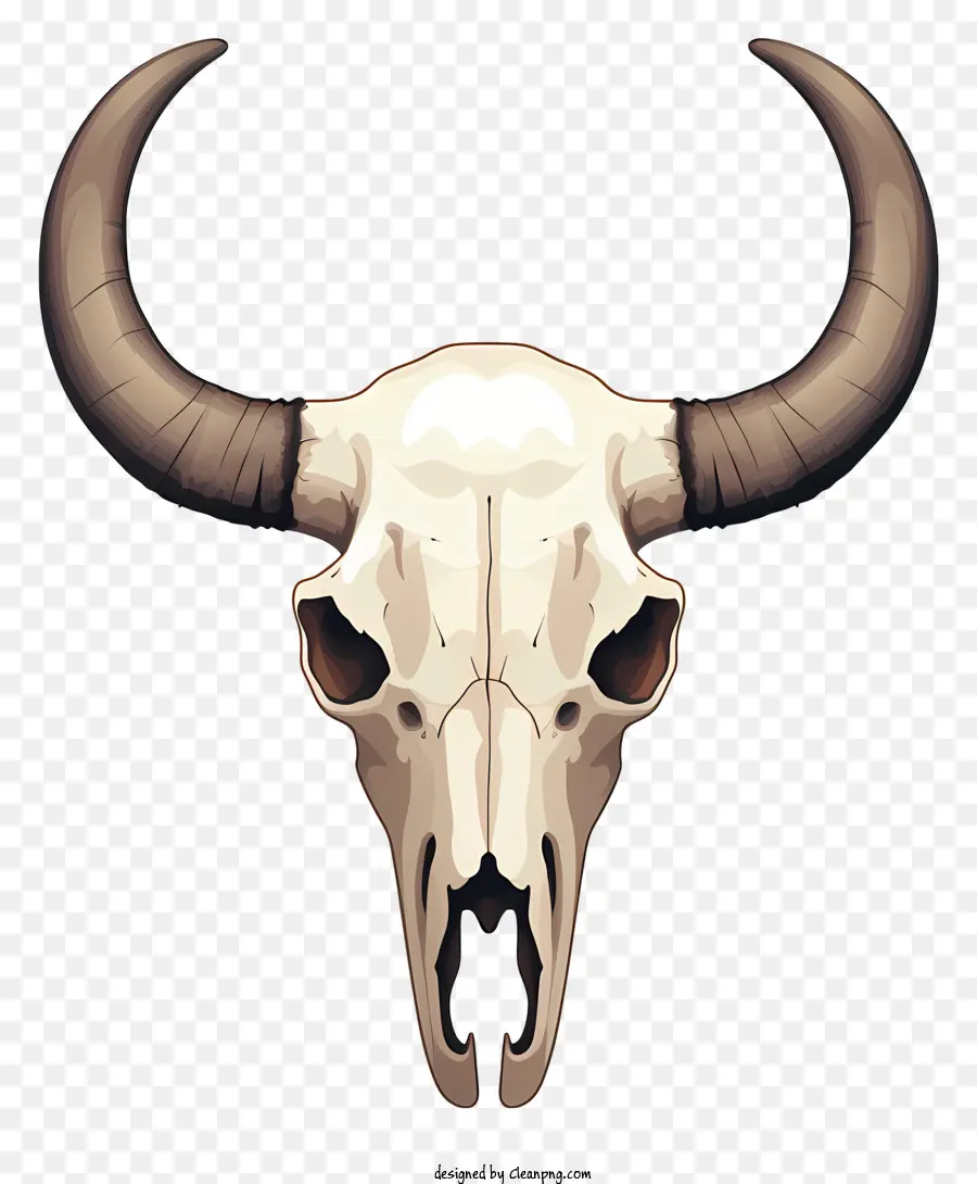 Vaca Crânio，Chifres PNG