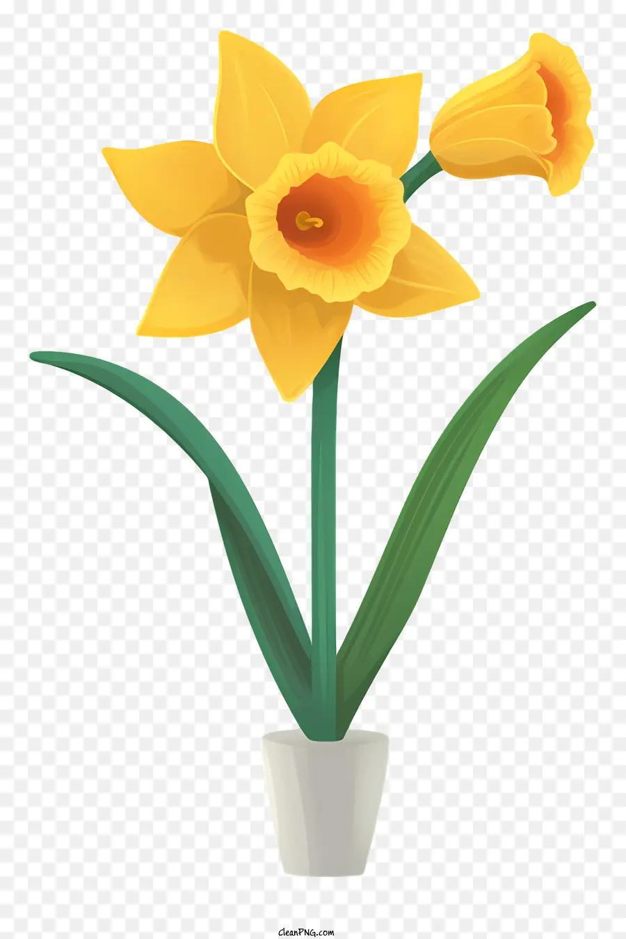 Flor De Daffodil，Flor Amarela PNG