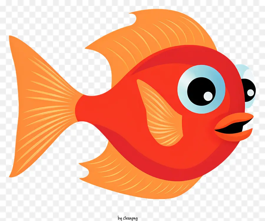 O Peixe Laranja，Cabeça Redonda PNG