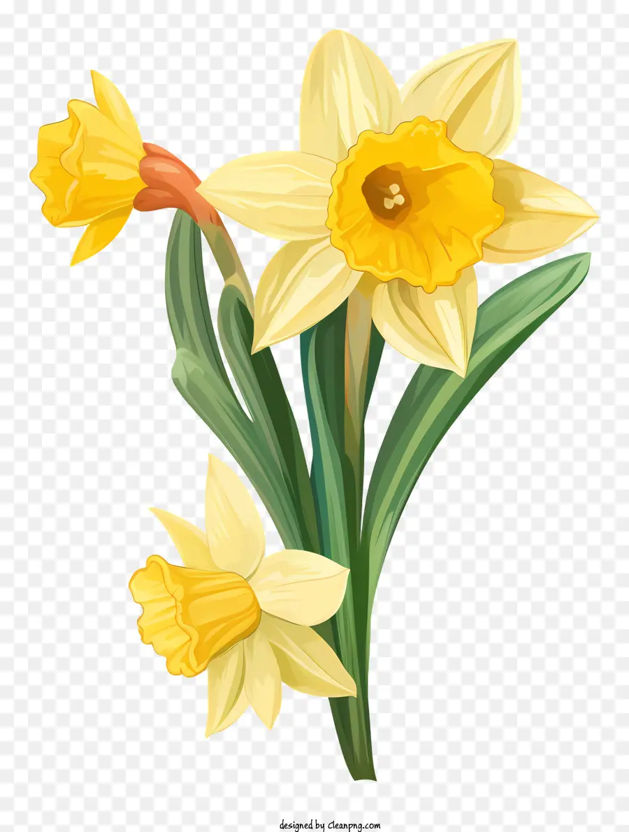 Narcisos，Flores Amarelas PNG