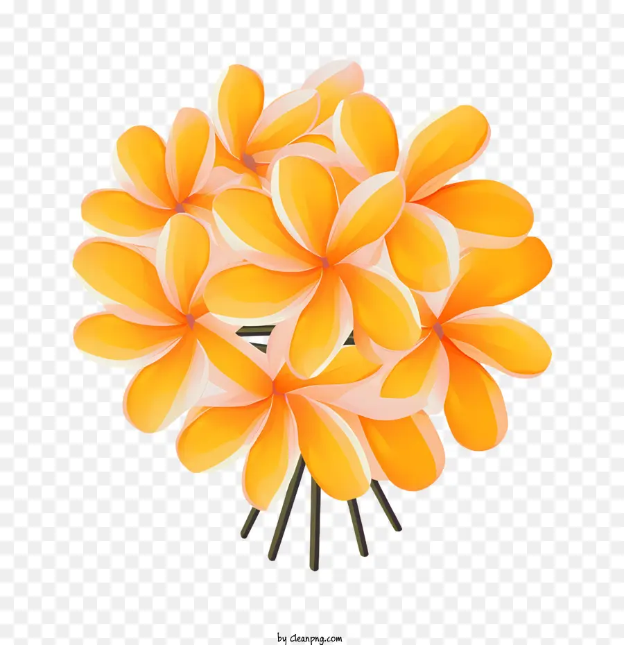 Flor De Frangipani，Flores Laranja PNG