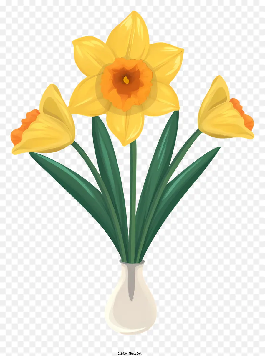 Vaso，Narcisos PNG