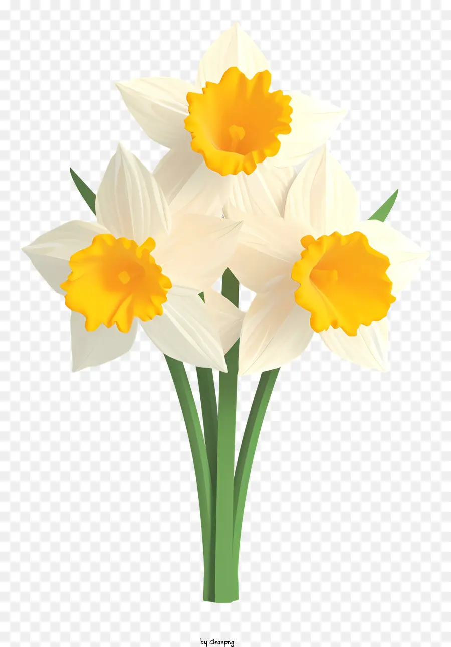 Narcisos Brancos，Arranjo De Buquê PNG