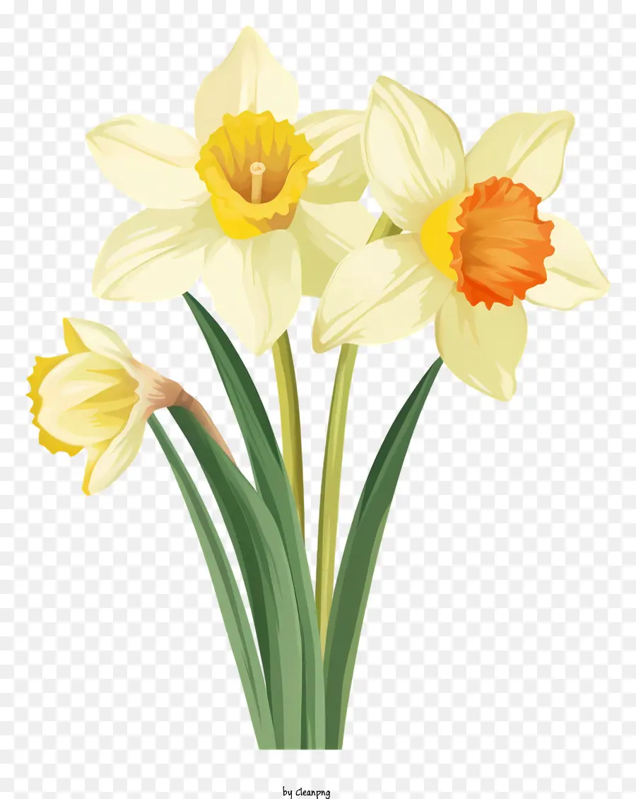 Narcisos Amarelos，Bouquet Of Flowers PNG