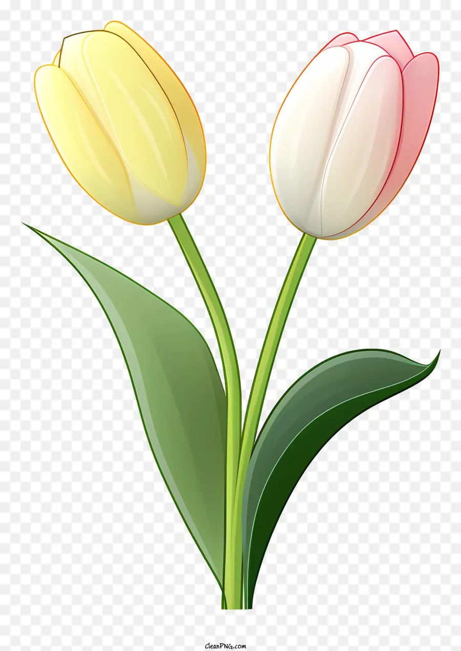 Tulipas，Tulipas Rosa E Amarelo PNG