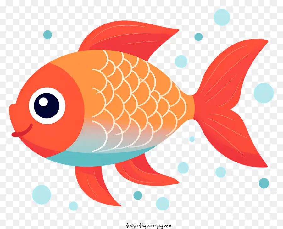 O Peixe Laranja，Peixe De Cabeça De Codo PNG
