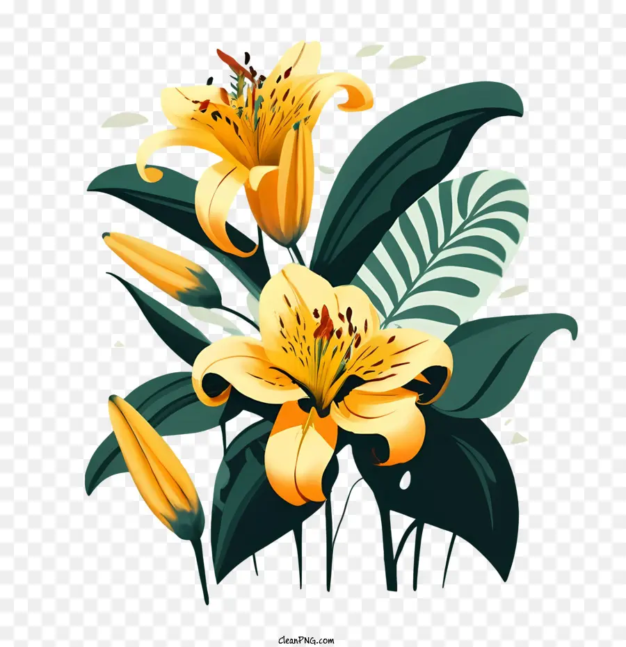 Flores De Lírio，Lily PNG