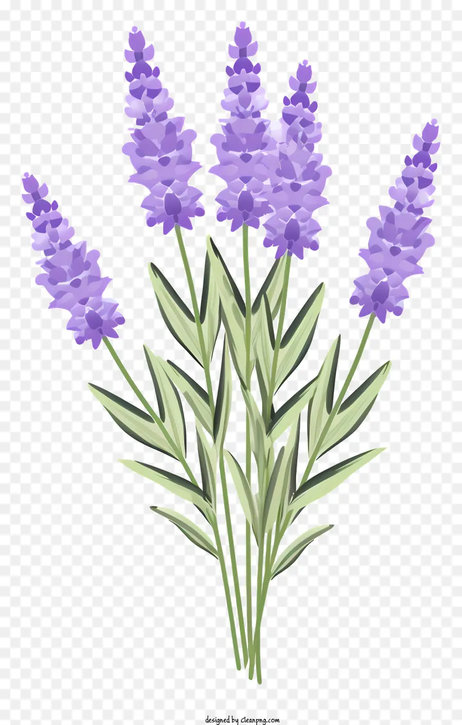 Flores De Lavanda，Buquê PNG