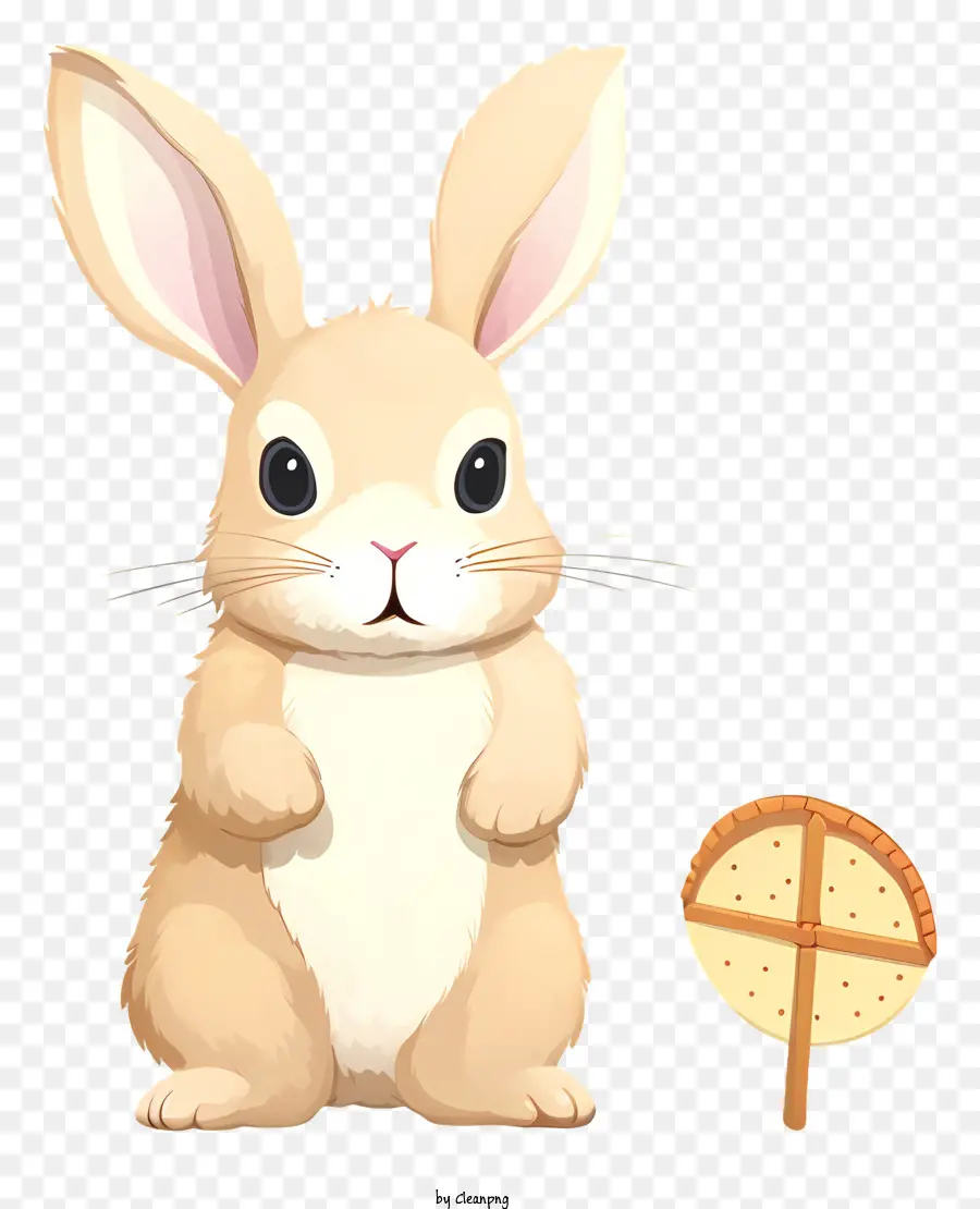 Bunny Rabbit，Bonito Coelho PNG