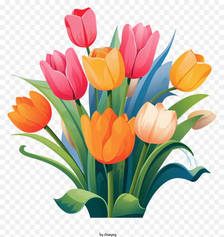 Coloridas Tulipas，Buquê PNG