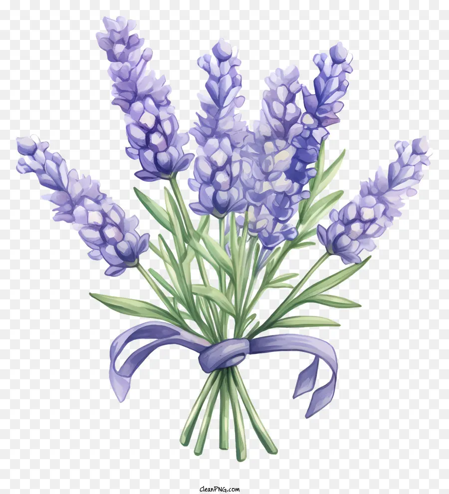 Flores De Lavanda，Buquê PNG