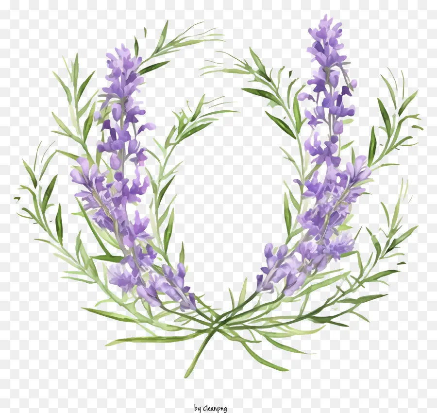 Coroa De Lavanda，Flores PNG