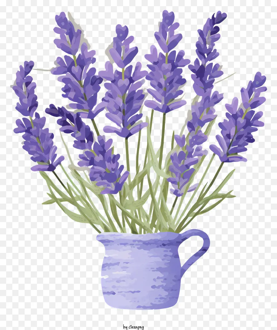 Flores De Lavanda，Vaso Azul PNG