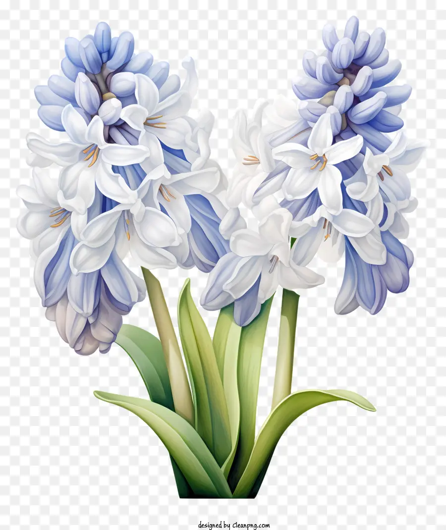 Buquê De Flores，Azul E Branco Flores PNG