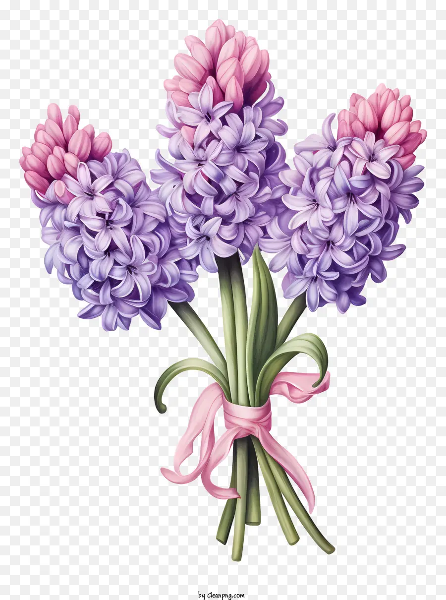 Lilacs，Flores PNG