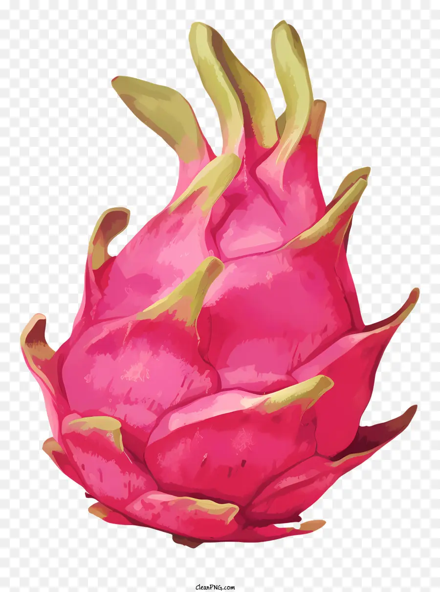 Fruta Do Dragão Rosa，A Fruta Do Dragão PNG