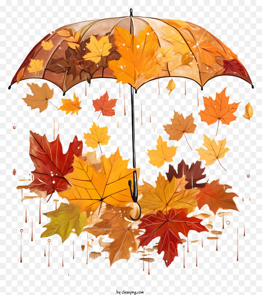 Guarda Chuva，Autumn Leaves PNG