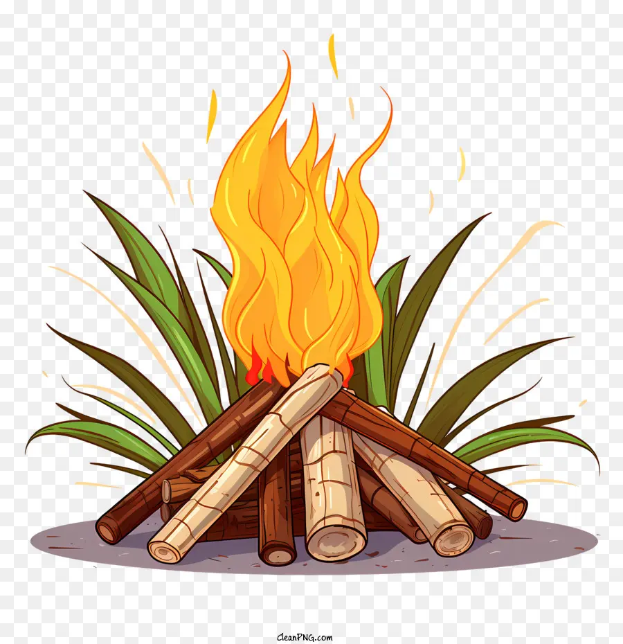 Lohri，Campfire PNG