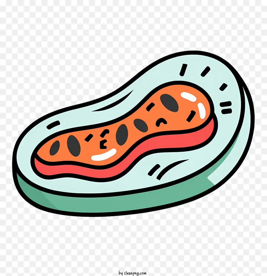 Cartoon Bife，Salmão PNG