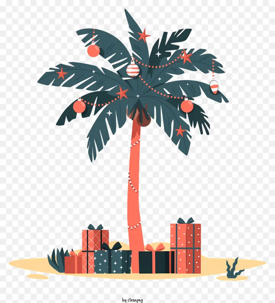 Palmeira，Praia PNG