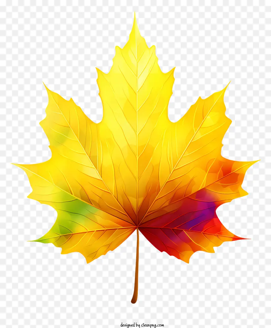Maple Leaf，Brilhantemente Coloridos PNG