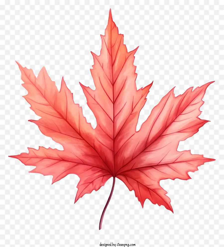Red Maple Leaf，árvore De Folhas Secas PNG