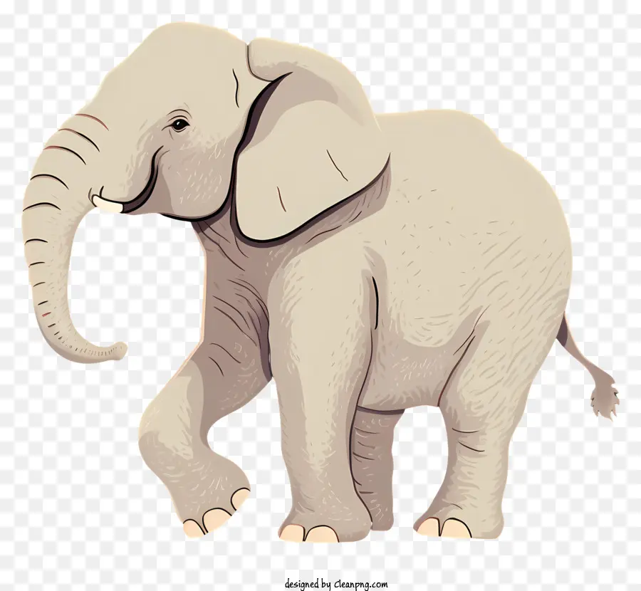 Bebê Elefante，Animal Bonito PNG
