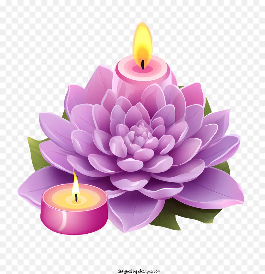 Vela Flor De Lótus，Vela Rosa PNG